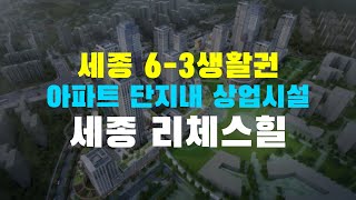 세종 리체스힐 6-3생활권 상가 입지를 확인해볼까요?