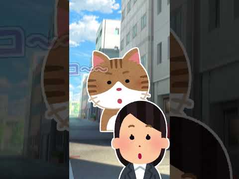 【2ch】野良猫を家に連れ帰ろうと画策してたら…【アニマル】 #Shorts