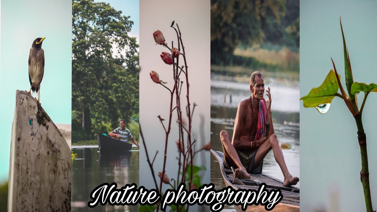 Nature Photography For Begginers Nature Photography Ideas With Phone nature-photography-for-begginers-nature-photography-ideas-with-phone