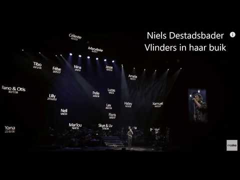 Niels Destadsbader Vlinders
