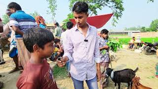 কোরবানি উপযোগী খাসি ছাগলের দাম জানুন | উল্লাপাড়া গ্যাস লাইন পশুর হাট ২০২৫