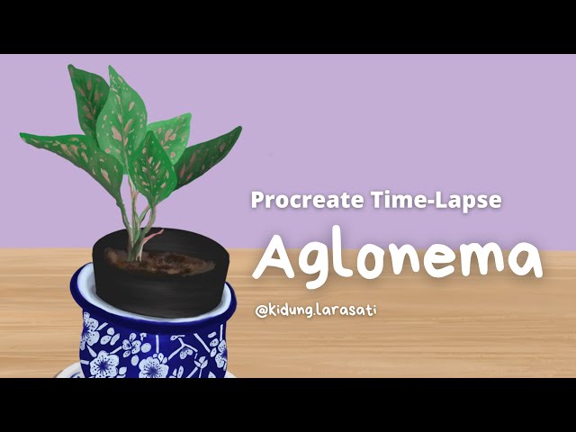 Procreate Time-Lapse Drawing: Aglonema | By Kidung Larasati class=
