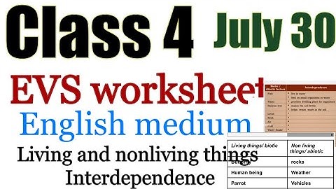Class 4 Evs worksheet july 30|4 std Environmental studies|victers English medium |mindblowingkids