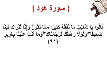 سورة هود الاية 91