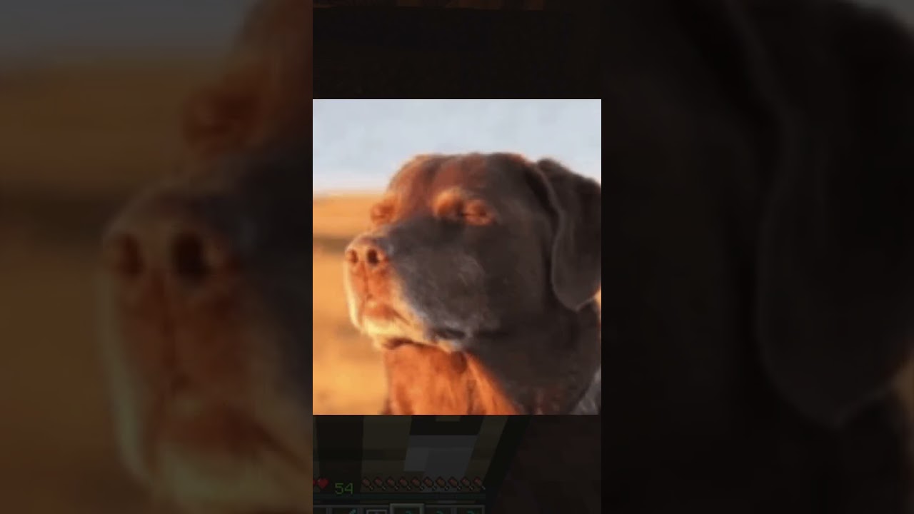 my luck in minecraft