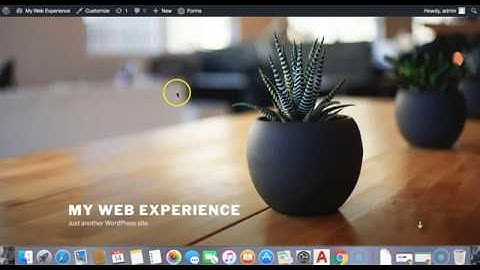 Exclude Specific Category Posts From Front Page