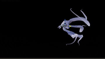 UE4 Niagara tentacles - test