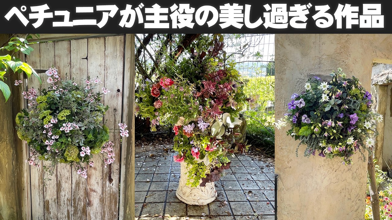 寄せ植え＆ハンギングバスケット】ペチュニアのレア品種を主役に何を