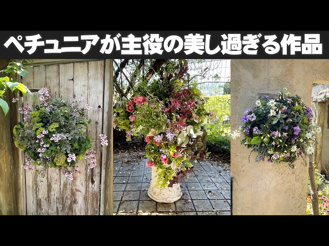 寄せ植え　ペチュニアと多色葉ハンギング　ハンギングバスケット A 寄せ植え＆ハンギングバスケット】ペチュニアのレア品種を主役に何を