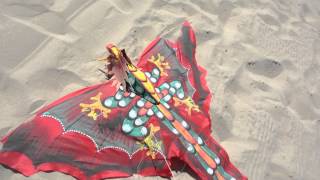 A Kite with a Dream to Fly ~ Children's Story ~ I CAN FLY ~ Hi Def