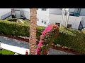 Египет, Шарм-эль-Шейх, отель Jaz Fanara Resort 4*, обзор номера Standart room