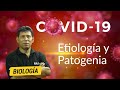 [Biología] - Coronavirus - Etiología y Patogenia
