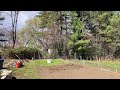 I Went Back to My Father’s Garden After Years… I Wasn’t Ready