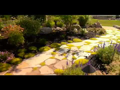 C&C Landscaping-Designing a Landscape - YouTube