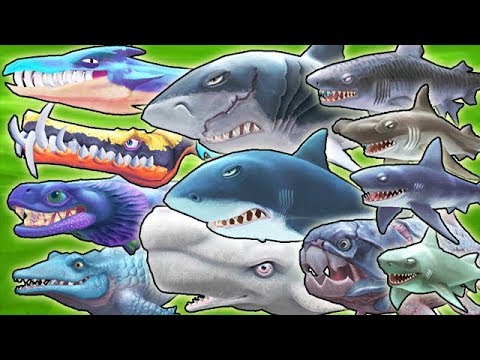 ALL MAX LEVEL 10 SHARKS UNLOCKED!!! (HUNGRY SHARK EVOLUTION) - YouTube