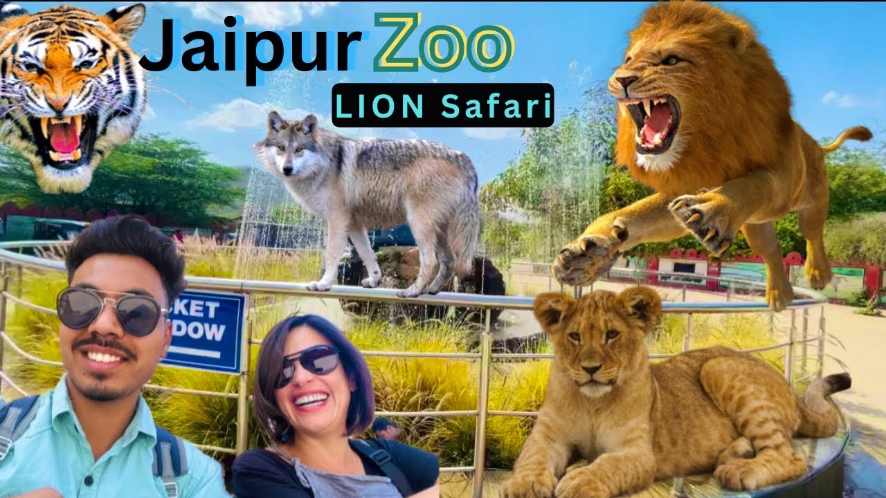 nahargarh lion safari ticket price