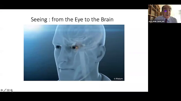 Sight + Sound Bites: Retinal Degenerations: Light at the End of the Tunnel