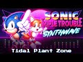 Tidal Plant Zone (Synthwave cover)