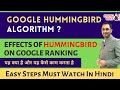 Google Hummingbird | A Complete Guide for Google Hummingbird Algorithm | Google Hummingbird Updates.