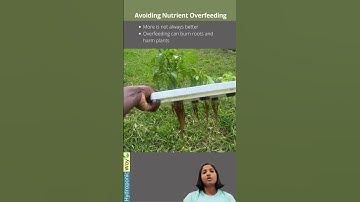 Less Can Be More in Hydroponics ⚠️ #hydroponicway #hydroponics #shorts #quiz #quiztime