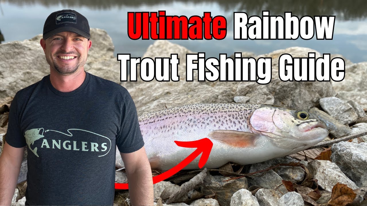 How To Catch Stocked Rainbow Trout EVERYWHERE You GO! 