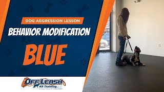 Dog Aggression Training Off Leash K9 Training Dog Aggression Lesson Program
