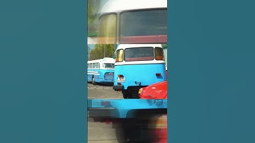 DDR Busse Oldtimertreffen #ddr #kult #ifa