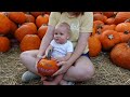 We Went To The Celebration Pumpkin Patch For A Friend Date & Reviewed A Spooky TV Show! | Home Vlog