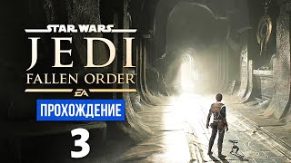 Древняя гробница ✼ Star Wars Jedi: Fallen Order #3