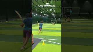 Cricket fever #youthful #cricketlover #indoor_cricket #softballcricket #cricket screenshot 5