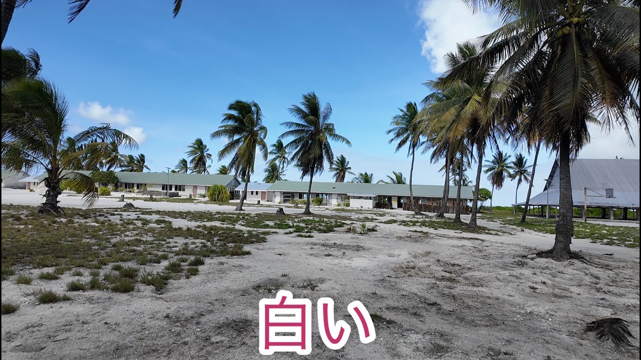 どすこい丸です☺︎ Dosukoi, who goes anywhere, is live streaming now! - YouTube