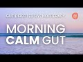 Calm your ibs  anxiety  morning hypnosis meditation