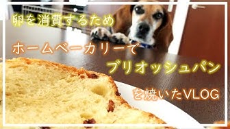 ブリオッシュ Youtube
