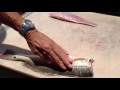 Cleaning a redfish with scales still on captain vince russo will show you how
