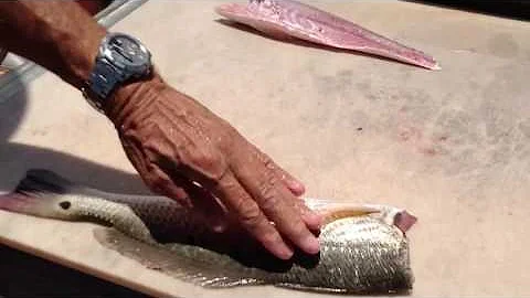 Cleaning a Redfish with scales still on!! Captain ...