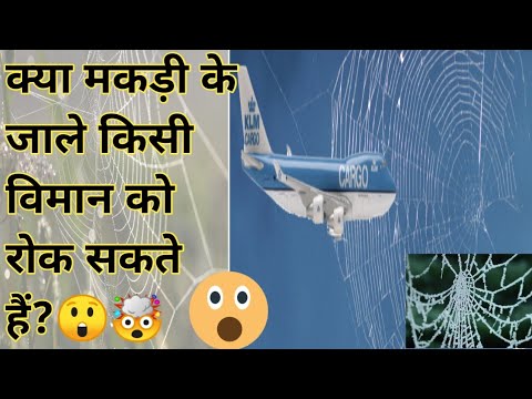 वीडियो: क्या मकड़ी का जाला किसी विमान को रोक सकता है?