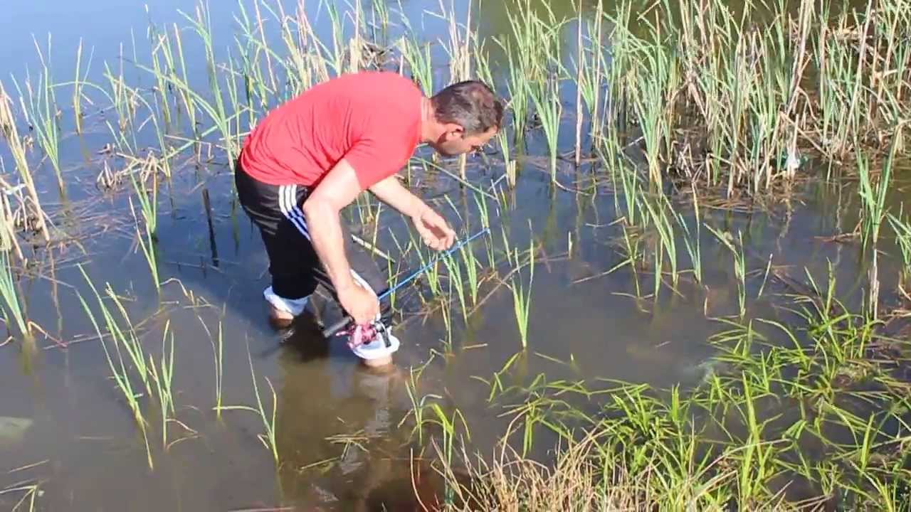 pescuit de raci - YouTube