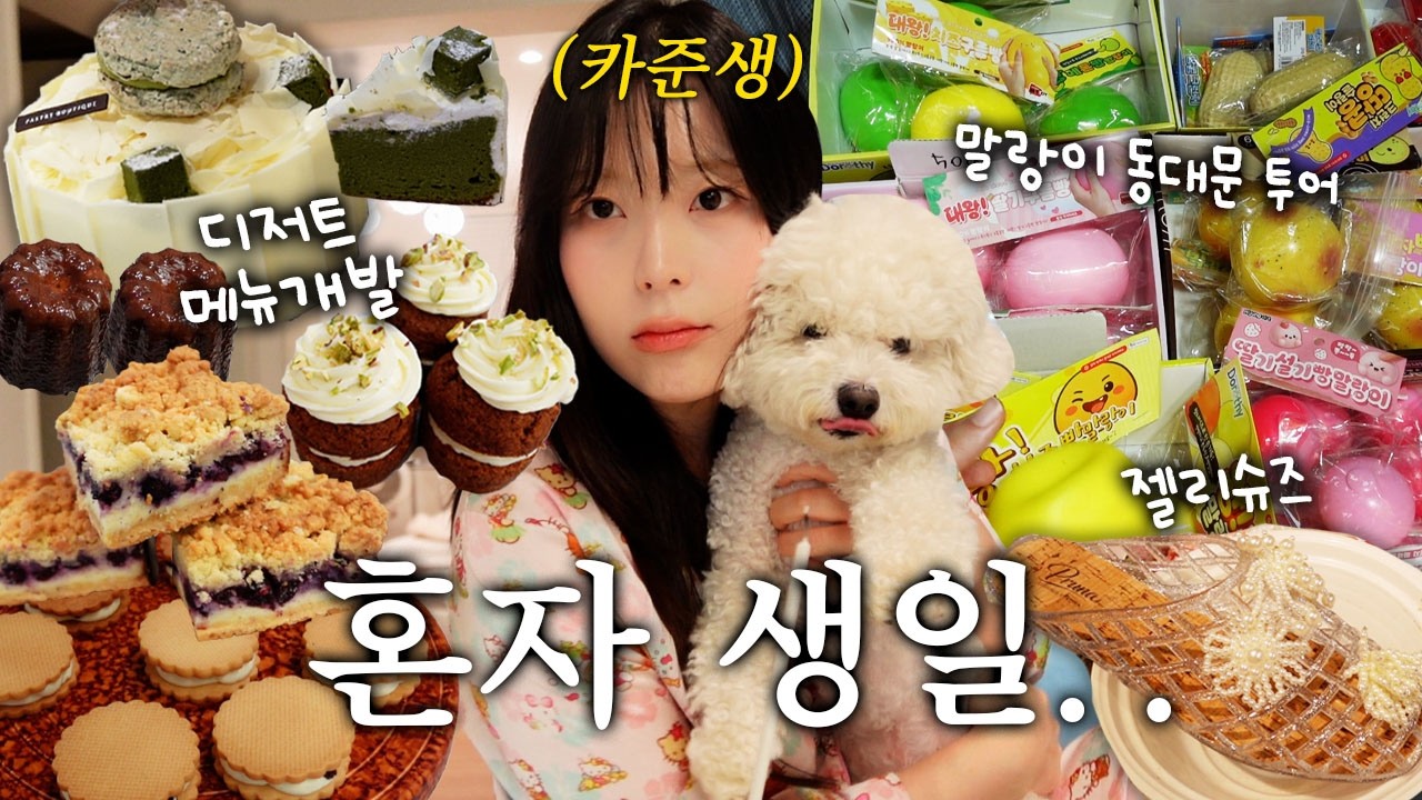 또 혼자야..?혼자 생일 보내는 카페준비생 브이로그🎂 나혼자 동대문! 완구시장⭐️말랑이 천국