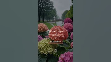 والشُّعَرَاءُ يَتَّبِعُهُمُ الغَاوُونَ || طارق محمد || من سورة الشعراء