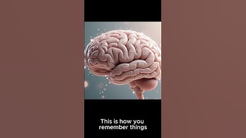 Understanding Memory: Why We Remember & Forget 🤯🧠