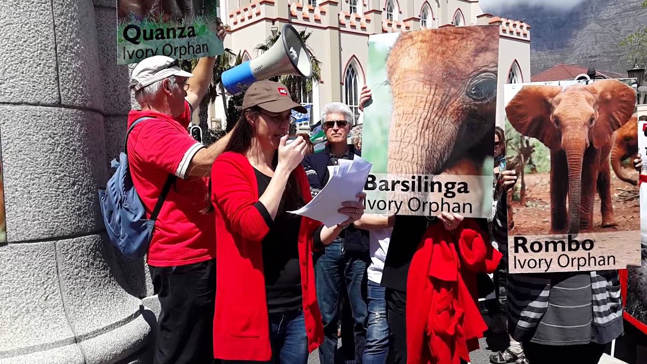 iworry International March for Elephants - YouTube