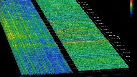 Computation and the Transformation of Practically Everything: Business and Economics