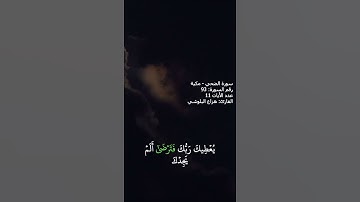 هزاع البلوشي سورة الضحي