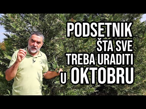 Video: Kamo putovati u oktobru za vašu godišnjicu