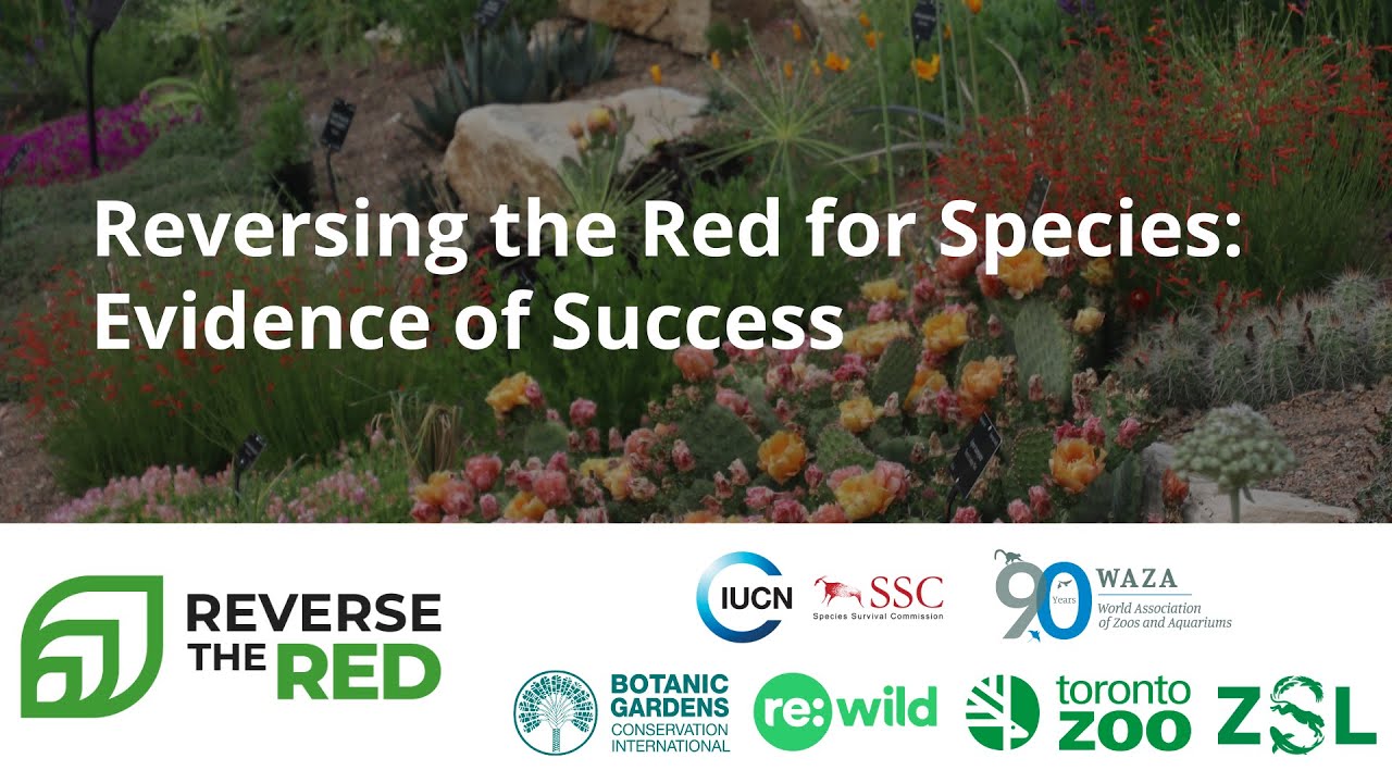 Reversing the Red for Species: Evidence of Success