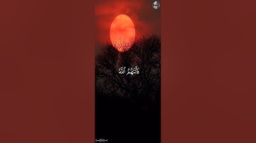 سَبَّحَ لِلَّهِ مَا فِي ٱلسَّمَٰوَٰتِ وَمَا فِي ٱلۡأَرۡضِۖ - شريف مصطفى [ سورة الـحـشـر,١-٢]
