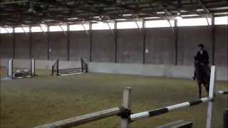 Astor Horse Show 4 19 15