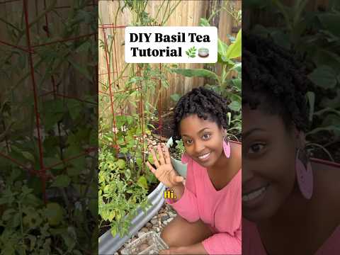 DIY Basil Tea
