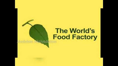 4th SCIENCE | UNIT-3 | PLANTS | TERM-2  (Part-1)