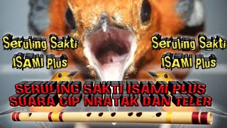 Seruling sakti isami   suara cip nratak